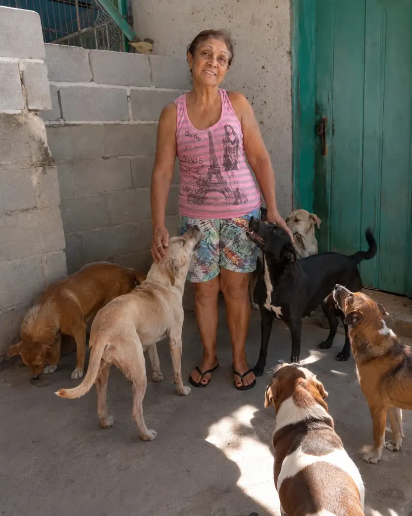 Cães resgatados no Abrigo Dona Rose, em Jacaraípe