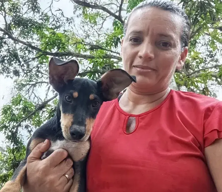 Cães resgatados no Abrigo Salve Cão, em Floresta Azul