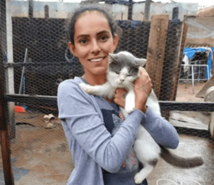 Cães e gatos resgatados na Casa da Mili, em Tambaú