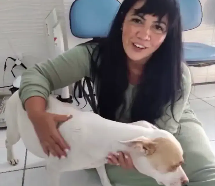 Protetora recebendo o carinho de um cão resgatado na área externa do abrigo