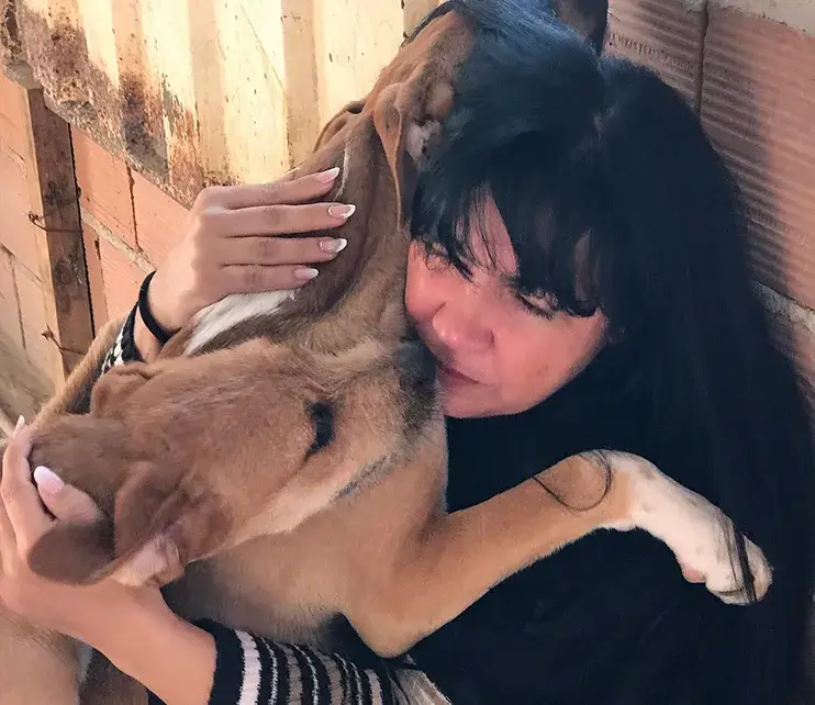 Gatos e cães resgatados no abrigo SOS Joana Darc, em Santa Luzia